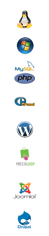 pyramid it website design support maintenance review check search engine optimisation online backup services internet marketing domain name registration email setup web hosting
